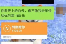 沅江企业清欠服务